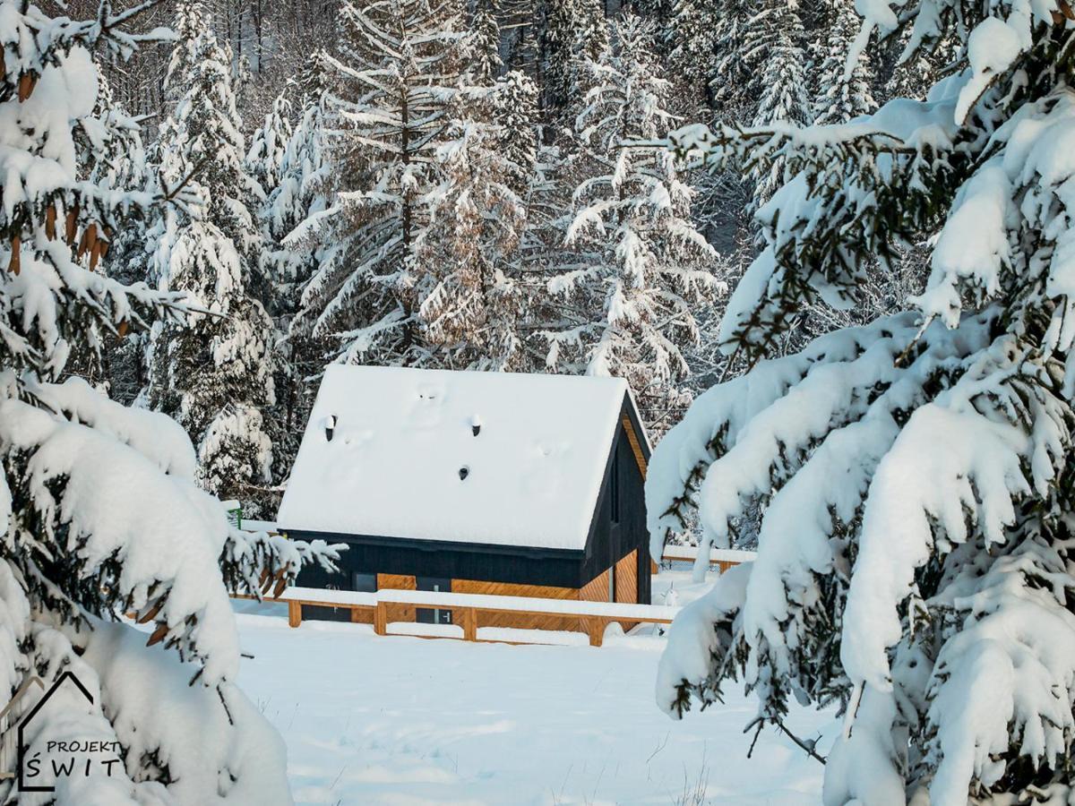 Projekt Swit - Domki Z Prywatna Jacuzzi I Sauna Żywiec Екстериор снимка